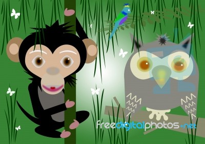 Monkey Stock Image