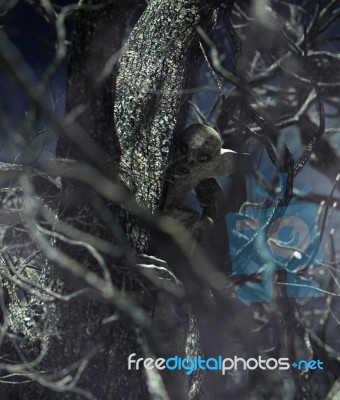 Monster Creature Woman In Creepy Forest,3d Illustration Stock Image