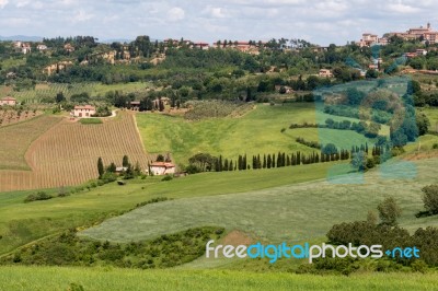 Montepulciano, Tuscany/italy - May 17 : View Of Montepulciano It… Stock Photo