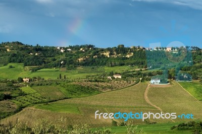 Montepulciano, Tuscany/italy - May 19 : Countryside Near Montepu… Stock Photo