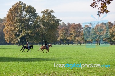 Monza, Italy/europe - October 30 : Horse Riding In Parco Di Monz… Stock Photo