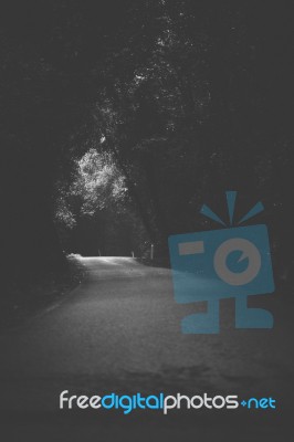 Moody Hazy Road In The Forest Stock Photo