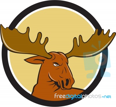 Moose Head Circle Cartoon Stock Image