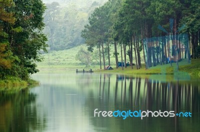 Morning Atmosphere Campsite On A Lake In The Pine Forest Stock Photo