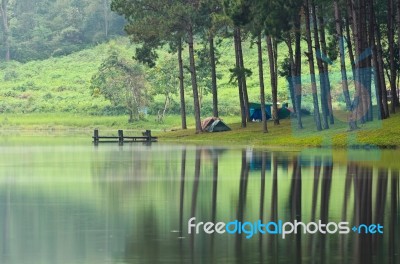 Morning Atmosphere Campsite On A Lake In The Pine Forest Stock Photo