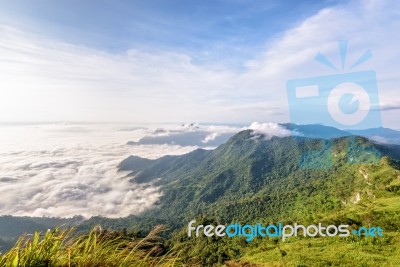 Morning In Phu Chi Fa Forest Park Stock Photo