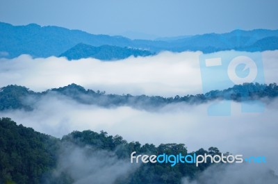 Morning Mist At Kaeng Krachan Stock Photo