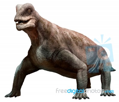 Moschops Stock Image