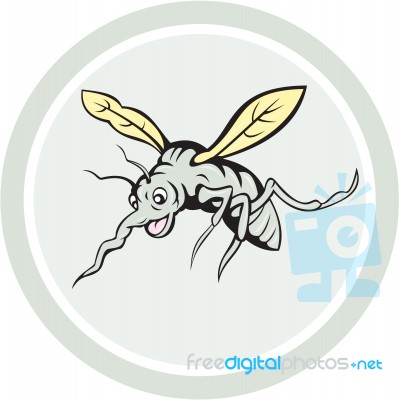 Mosquito Flying Front View Cartoon Stock Image