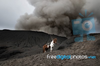 Mount Bromo Stock Photo