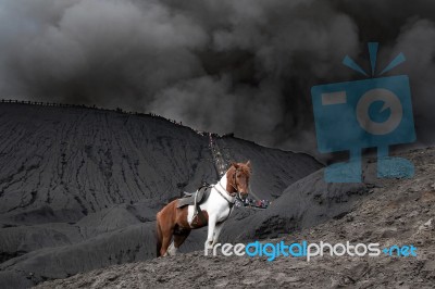 Mount Bromo Stock Photo