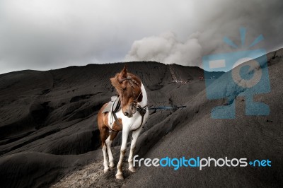 Mount Bromo Stock Photo