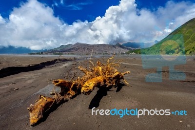 Mount Bromo Volcano (gunung Bromo)in Bromo Tengger Semeru National Park, East Java, Indonesia Stock Photo