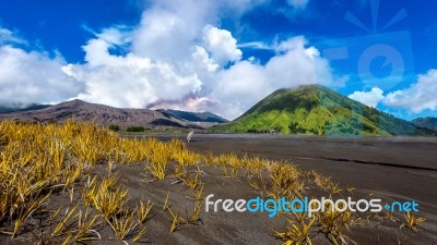 Mount Bromo Volcano (gunung Bromo)in Bromo Tengger Semeru National Park, East Java, Indonesia Stock Photo