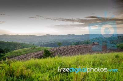 Mountain Farm Tractors For Planting Crops. And Partially Covere… Stock Photo