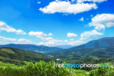 Mountain Valley During Sunrise. Natural Summer Landscape Stock Photo