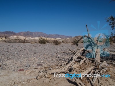 Mountains, Dry Tree And Desert Landscape Stock Photo