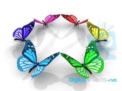 Multicolored Butterflies Stock Image