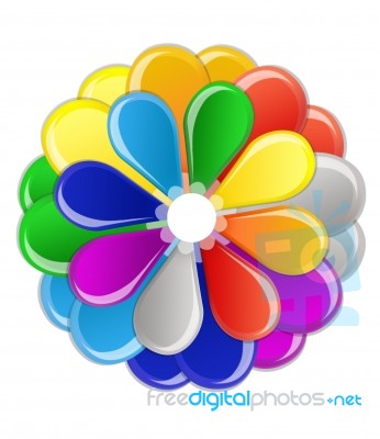 Multicolored Flower Stock Image