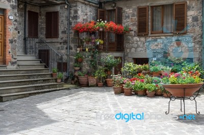 Multitude Of Flowers On Display Outside A House In Radicofani Stock Photo