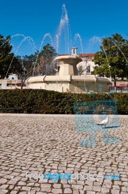 Municipal Square Fountain Stock Photo