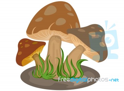 Mushrooms Cartoon Stock Image