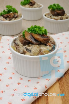 Mushrooms In A Creamy Sauce Stock Photo