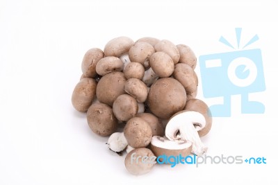 Mushrooms On A White Background Stock Photo