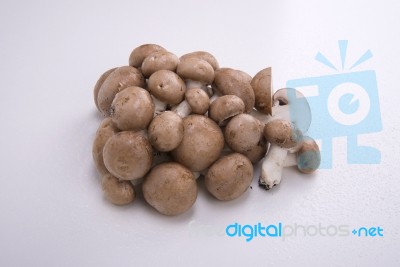 Mushrooms On A White Background Wet Stock Photo