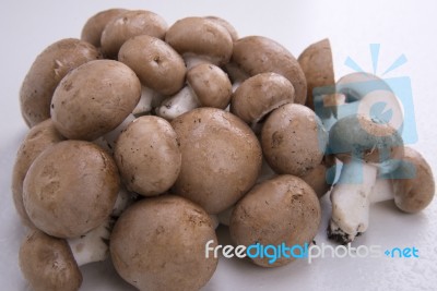 Mushrooms On A White Background Wet Stock Photo