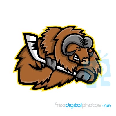 Musk Ox Ice Hockey Mascot Stock Image