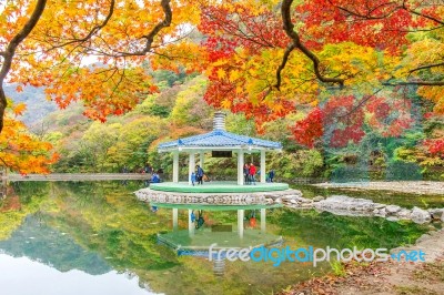 Naejangsan,korea - November 1: Tourists Taking Photos Of The Beautiful Scenery Around Naejangsan Park,south Korea During Autumn Season On November 1, 2015 Stock Photo