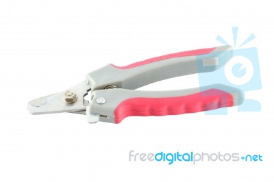 Nail Cutter On White Stock Photo