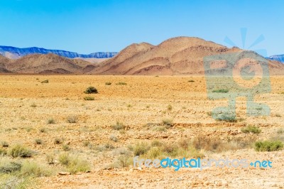 Namib Desert Near Solitaire Stock Photo