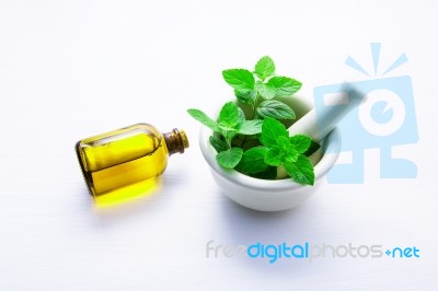 Natural Mint Essential Oil In A Glass Bottle With Fresh Mint Lea… Stock Photo