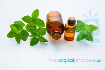 Natural Mint Essential Oil In A Glass Bottle With Fresh Mint Lea… Stock Photo