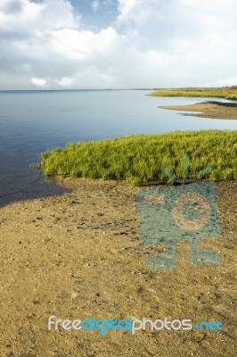 Natural Ria Formosa Marshlands Stock Photo