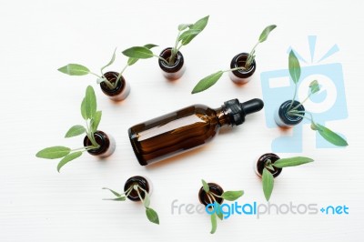Natural Sage Essential Oil With Sage Leaves On White  Background… Stock Photo