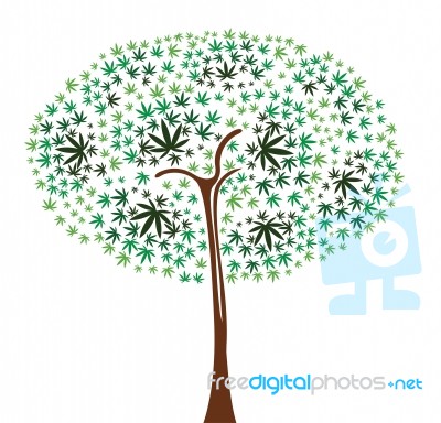 Natural Tree Stock Image