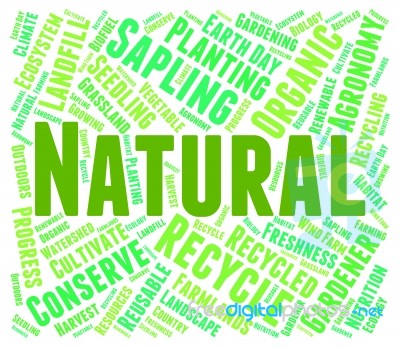 Natural Word Represents Genuine Untreated And Environmental Stock Image - Royalty Free Image ID ...