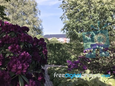 Nature And Flowers In The Park Stock Photo Nature And Flowers In The Park Stock Photo