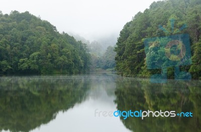 Nature Landscape At Dawn Of Lakes And Pine Forests Stock Photo