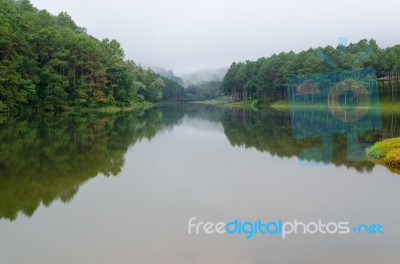 Nature Landscape At Dawn Of Lakes And Pine Forests Stock Photo