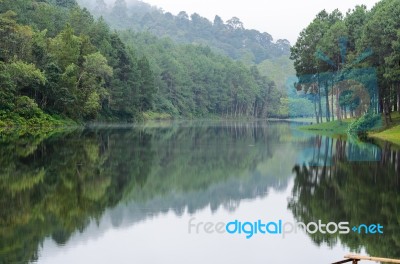 Nature Landscape At Morning Of Lakes And Pine Forests Stock Photo