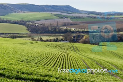 Near Seaford, Sussex/uk - April 5 : View Of  Farmland Near Seafo… Stock Photo