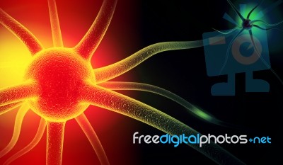 Neuron Stock Image