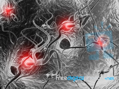 Neuron Stock Image