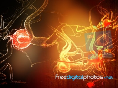 Neuron Stock Image