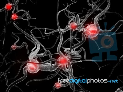 Neuron Stock Image