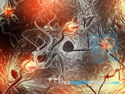 Neuron Stock Image